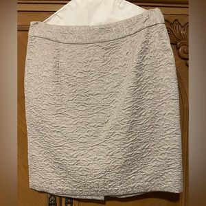 Banana Republic Skirt / Size 12